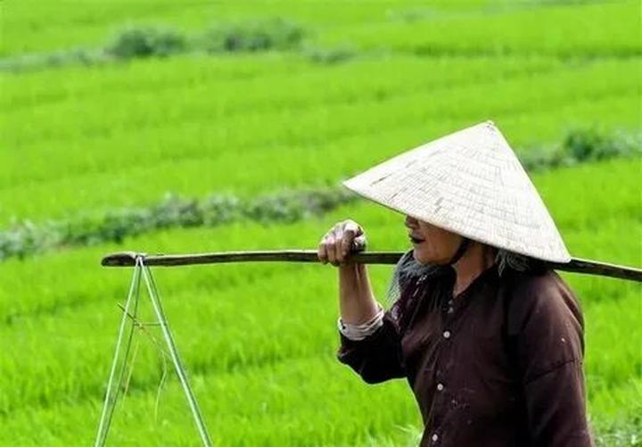 Xu hướng Ngoại hình gây sốc tột độ của: Hotspot Matrix tiết lộ bí quyết video viral