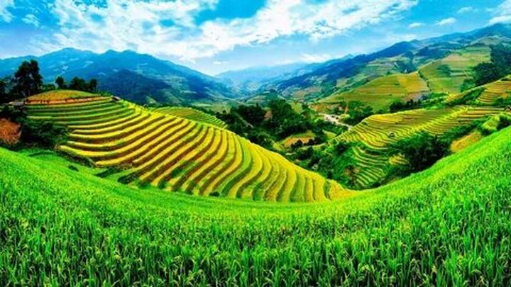 Từ 0 đến đỉnh cao: Bí quyết thành công của chiến dịch marketing nhờ Hotspot Matrix